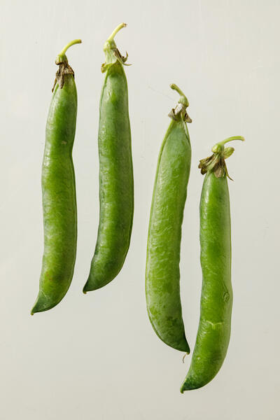 Thumbnail for October 10, 2025